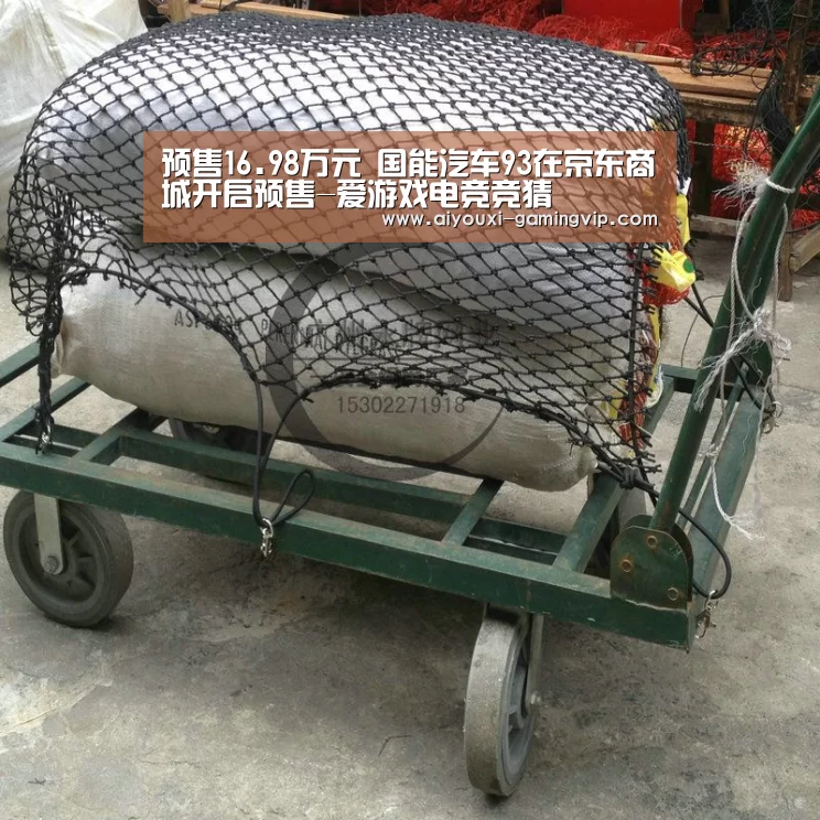 预售16.98万元 国能汽车93在京东商城开启预售-爱游戏电竞竞猜(图2) 爱游戏电竞平台