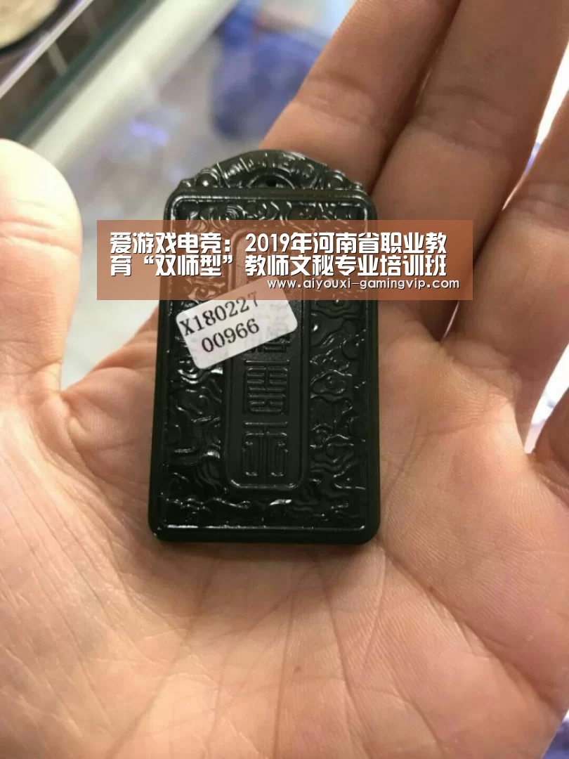 爱游戏电竞:2019年河南省职业教育“双师型”教师文秘专业培训班开班(图1) 爱游戏电竞竞猜